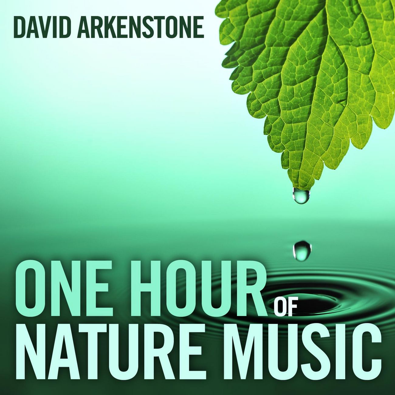 One Hour of Nature Music