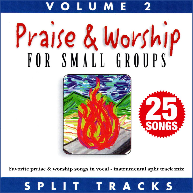 Praise & Worship For Small Groups, Vol. 2 (Whole Hearted Worship/ Split Tracks)