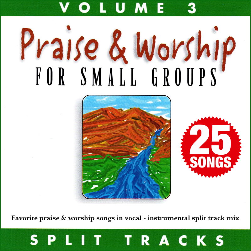 Praise & Worship For Small Groups, (Whole Hearted Worship) Vol. 3  (Split Tracks)