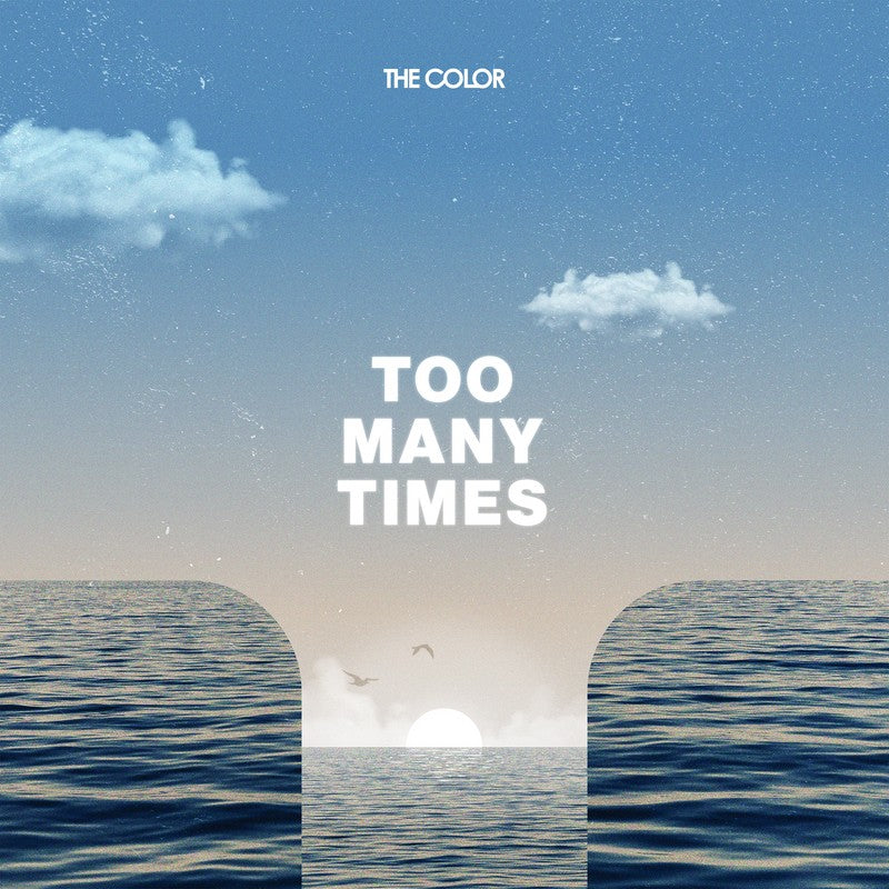 Too Many Times - Single